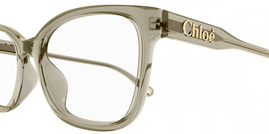 Color: Green (004) - Chloé CH0276OA00454