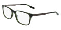 Green Tortoise