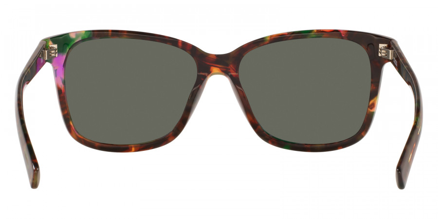 Color: Shiny Abalone (200905) - Costa Del Mar 6S200920090557