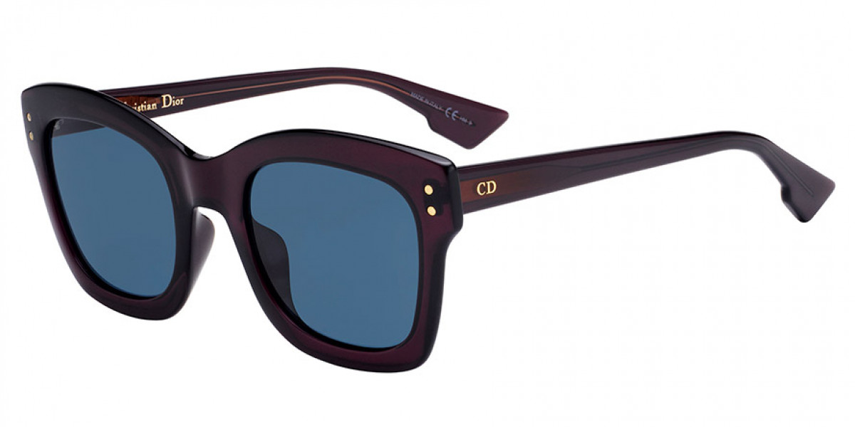 Dior Diorizon 2 Square Sunglasses EyeOns