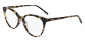 Tokyo Tortoise