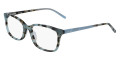 Teal Tortoise