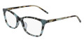 Teal Tortoise