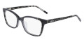 Black Tortoise/Black