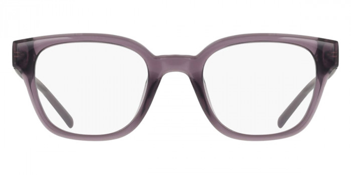 DKNY™ DK5081 505 49 - Crystal Plum