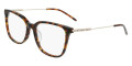 Brown Tortoise