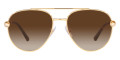 Gold / Gradient Brown