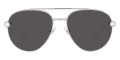 Silver / Dark Gray