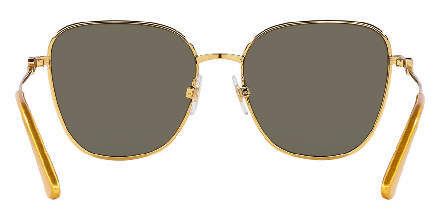 Dolce & Gabbana™ - DG2293