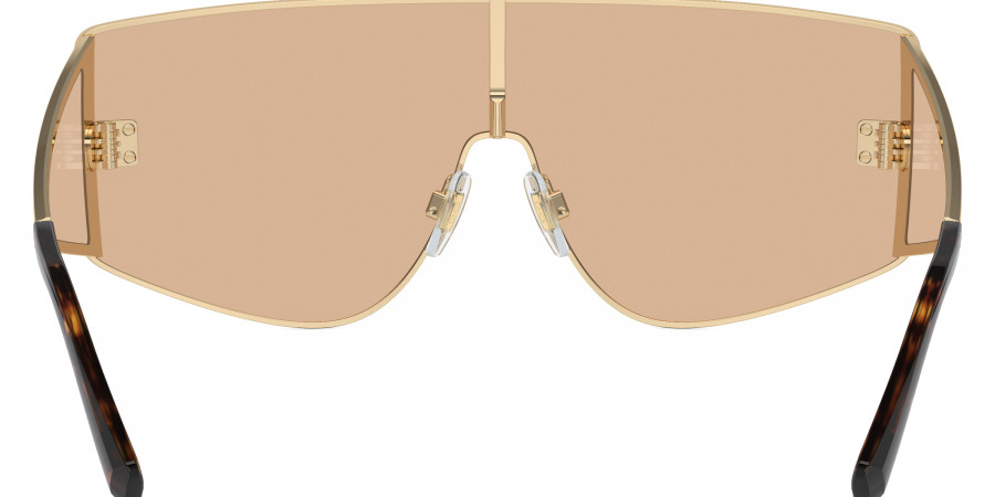 Dolce & Gabbana™ - DG2305
