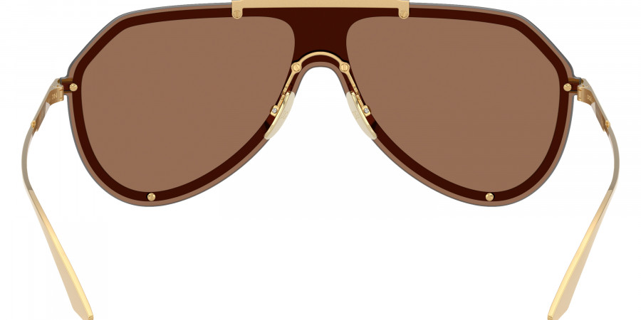 Dolce & Gabbana™ - DG2309