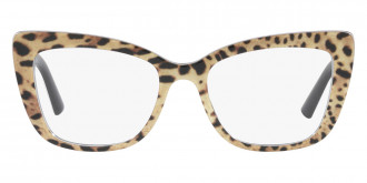 Color: Leopard Brown/Black (3163) - Dolce & Gabbana DG3308316353