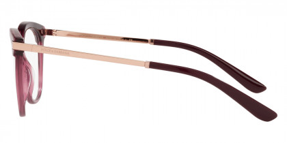 Color: Bordeaux/Transparent Bordeaux (3247) - Dolce & Gabbana DG3346324750