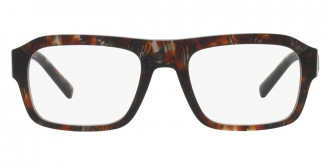 Color: Gray Havana (3356) - Dolce & Gabbana DG3351335653