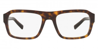Color: Havana (502) - Dolce & Gabbana DG335150253