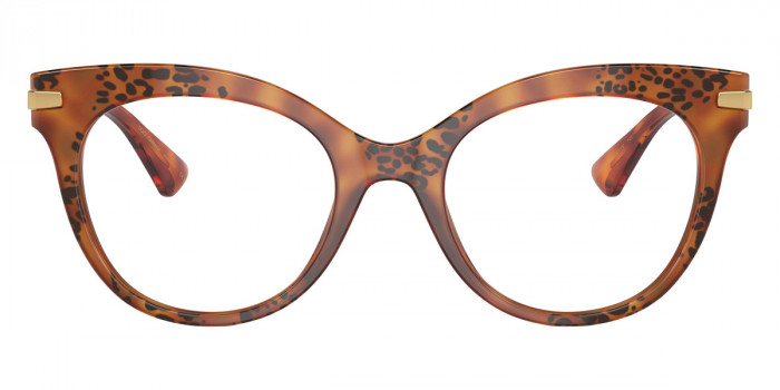 DOLCE & GABBANA™ DG3392 3380 52 - Havana Leo/Gold