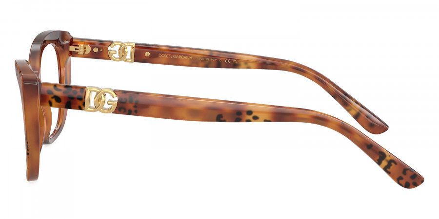 Color: Havana Leo (3380) - Dolce & Gabbana DG3398338052