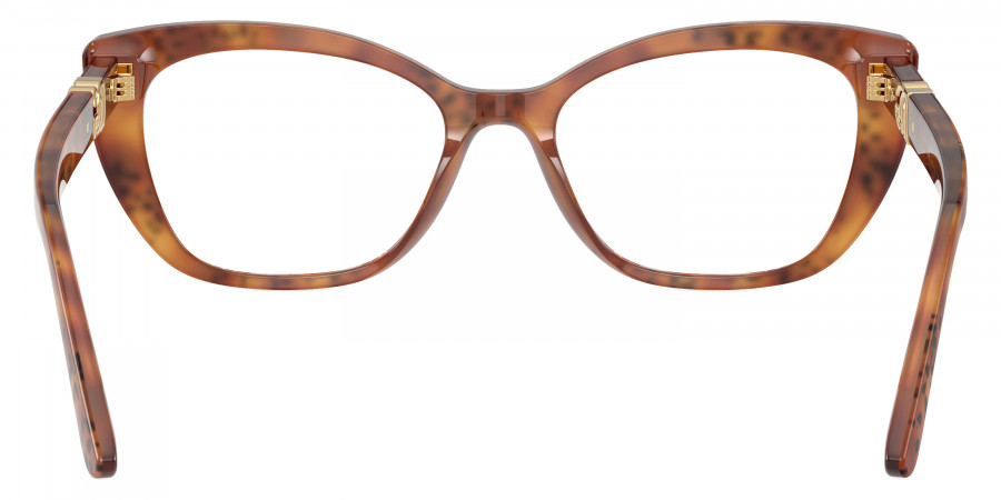 Color: Havana Leo (3380) - Dolce & Gabbana DG3398338052