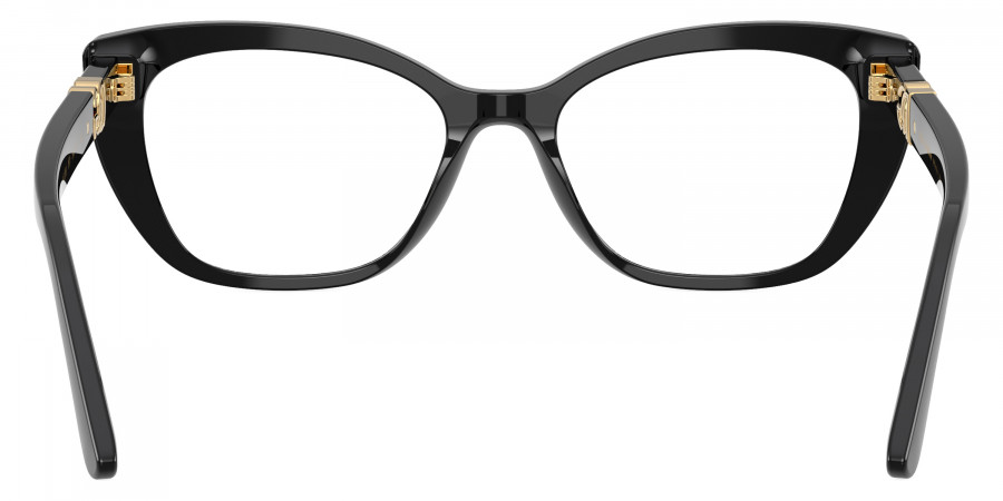 Color: Black (501) - Dolce & Gabbana DG339850152