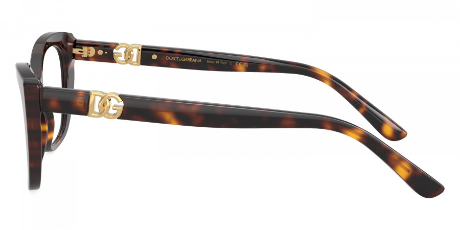 Color: Havana (502) - Dolce & Gabbana DG339850252