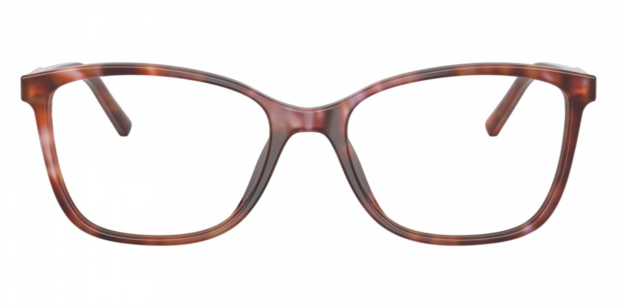 DOLCE & GABBANA™ DG3424 3444 54 - Havana Brown