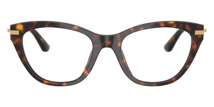 DOLCE & GABBANA™ DG3428 502 51 - Havana