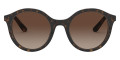 Havana / Brown Gradient