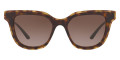 Havana / Brown Gradient