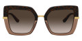 Havana on Transparent Brown / Brown Gradient Dark Brown