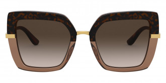 Color: Havana on Transparent Brown (325613) - Dolce & Gabbana DG437332561352