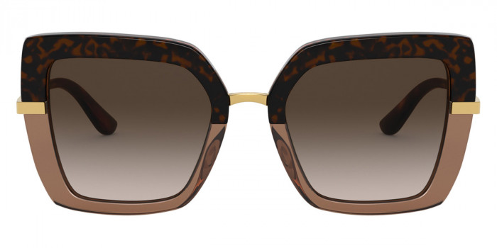 DOLCE & GABBANA™ DG4373 325613 52 - Havana on Transparent Brown