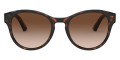 Havana / Brown Gradient