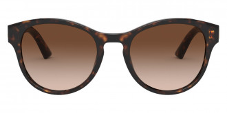 Color: Havana (502/13) - Dolce & Gabbana DG4376502/1352
