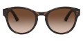 Havana / Brown Gradient
