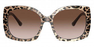 Color: Leopard Brown on Black (316313) - Dolce & Gabbana DG438531631358