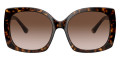 Havana / Brown Gradient Dark Brown
