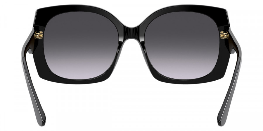 Dolce & Gabbana™ - Print Family DG4385