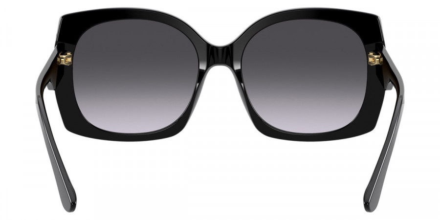 Dolce & Gabbana™ - Print Family DG4385F