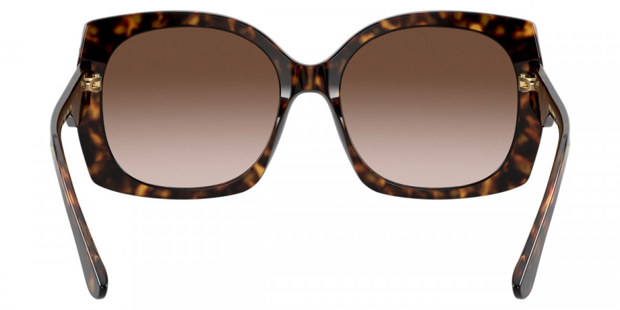 Dolce & Gabbana™ - Print Family DG4385F