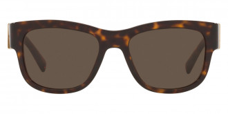 Color: Havana (502/73) - Dolce & Gabbana DG4390502/7354