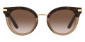 Havana/Transparent Brown / Gradient Brown