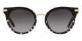 Black/Pois / Light Gray Gradient Black