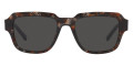 Gray Havana / Dark Gray