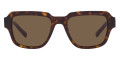 Havana / Dark Brown