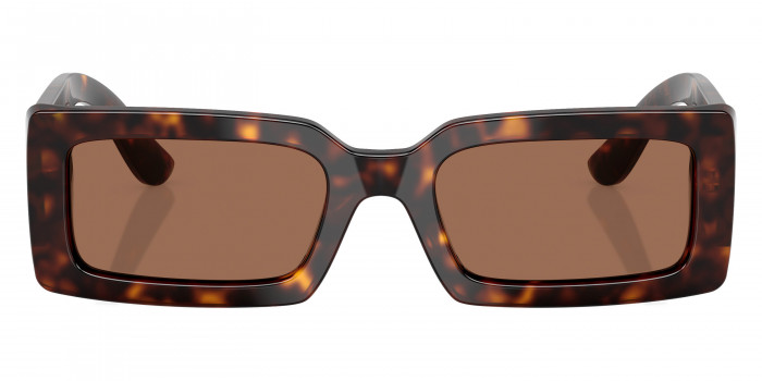 DOLCE & GABBANA™ DG4416 193573 53 - Havana