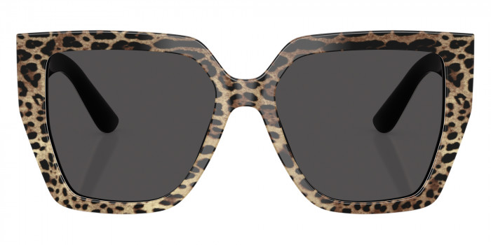 DOLCE & GABBANA™ DG4438 316387 55 - Leo Brown on Black