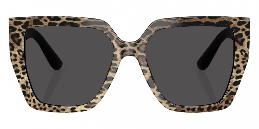 DOLCE & GABBANA™ DG4438 316387 55 - Leo Brown on Black
