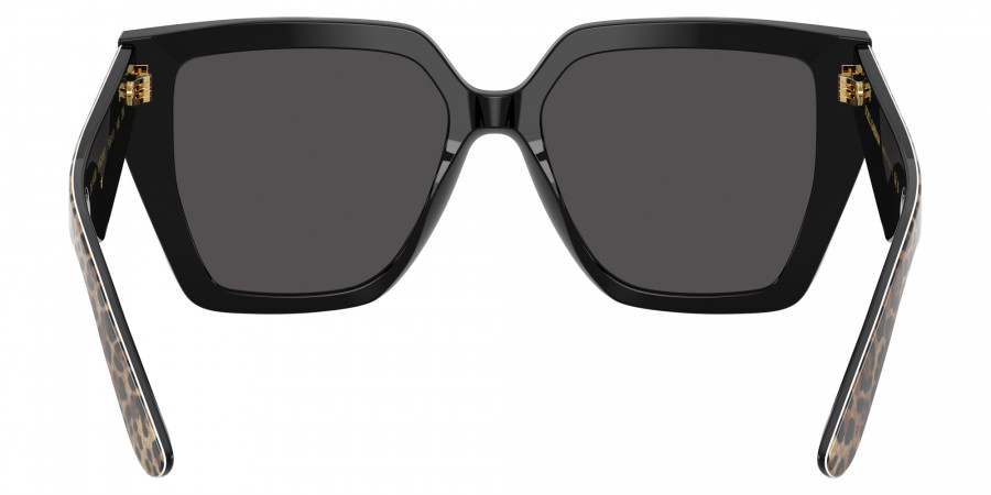 Color: Leo Brown on Black (316387) - DOLCE & GABBANA DG443831638755