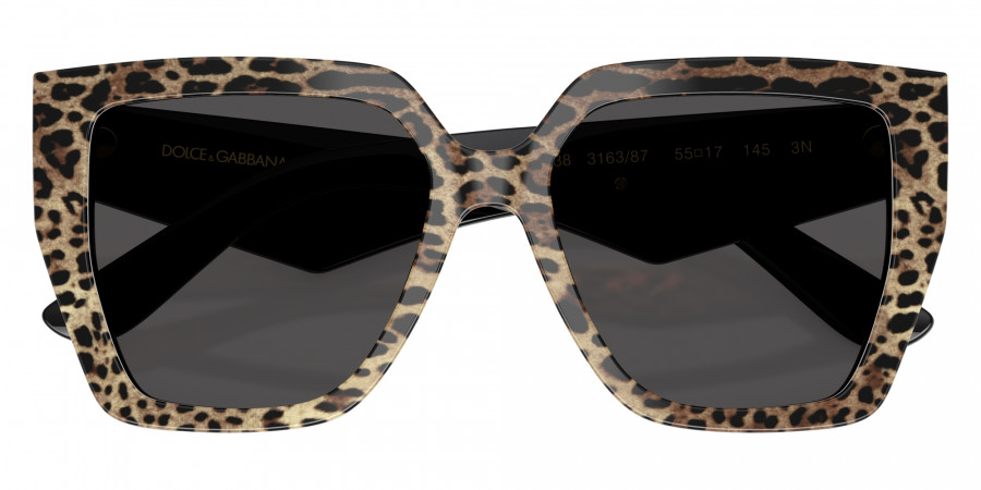 Color: Leo Brown on Black (316387) - DOLCE & GABBANA DG443831638755