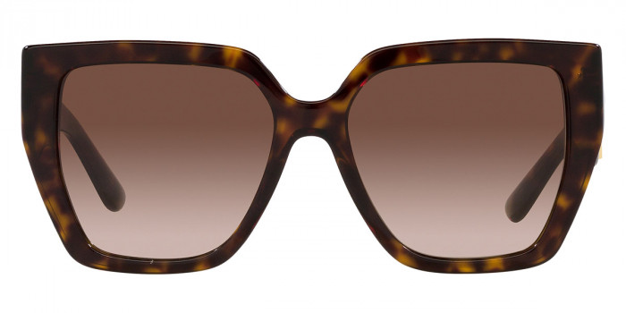 DOLCE & GABBANA™ DG4438 502/13 55 - Havana